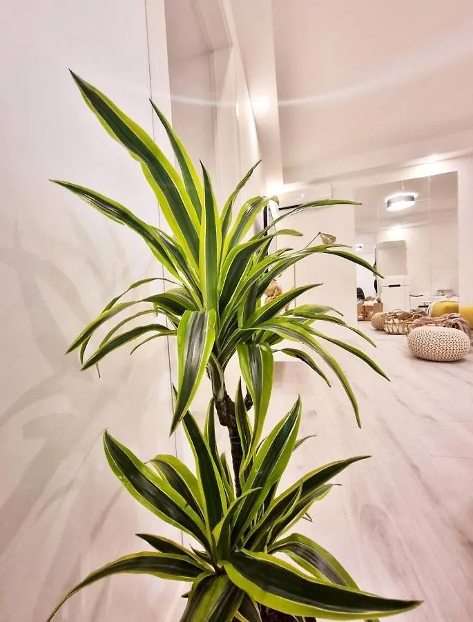 Un Ami Apartman Póla Horvátország